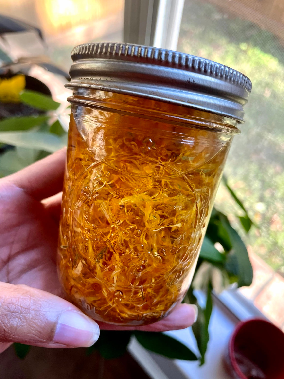 RITUAL No. 005 TEND Calendula Botanical Salve